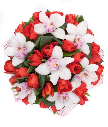 Секрет Афродиты