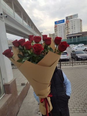 Голландия