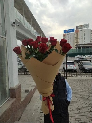 Голландия